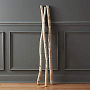 48" Natural Burch Branch