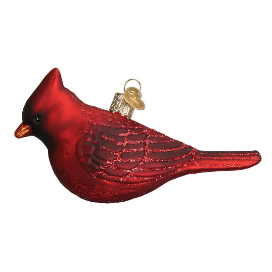 Northern Cardinal