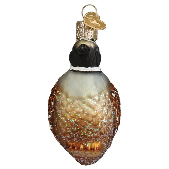 Quail