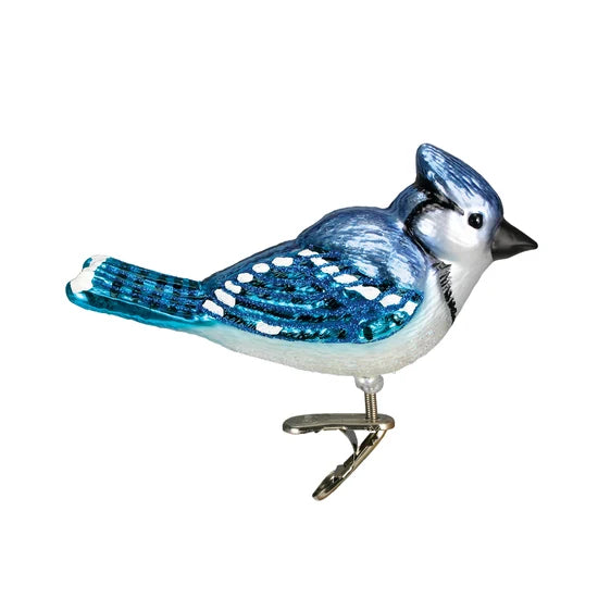 Bright Blue Jay