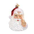 Night Before Christmas Santa