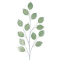 Gilded Lunaria