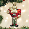 Georgia Hairy Dawg