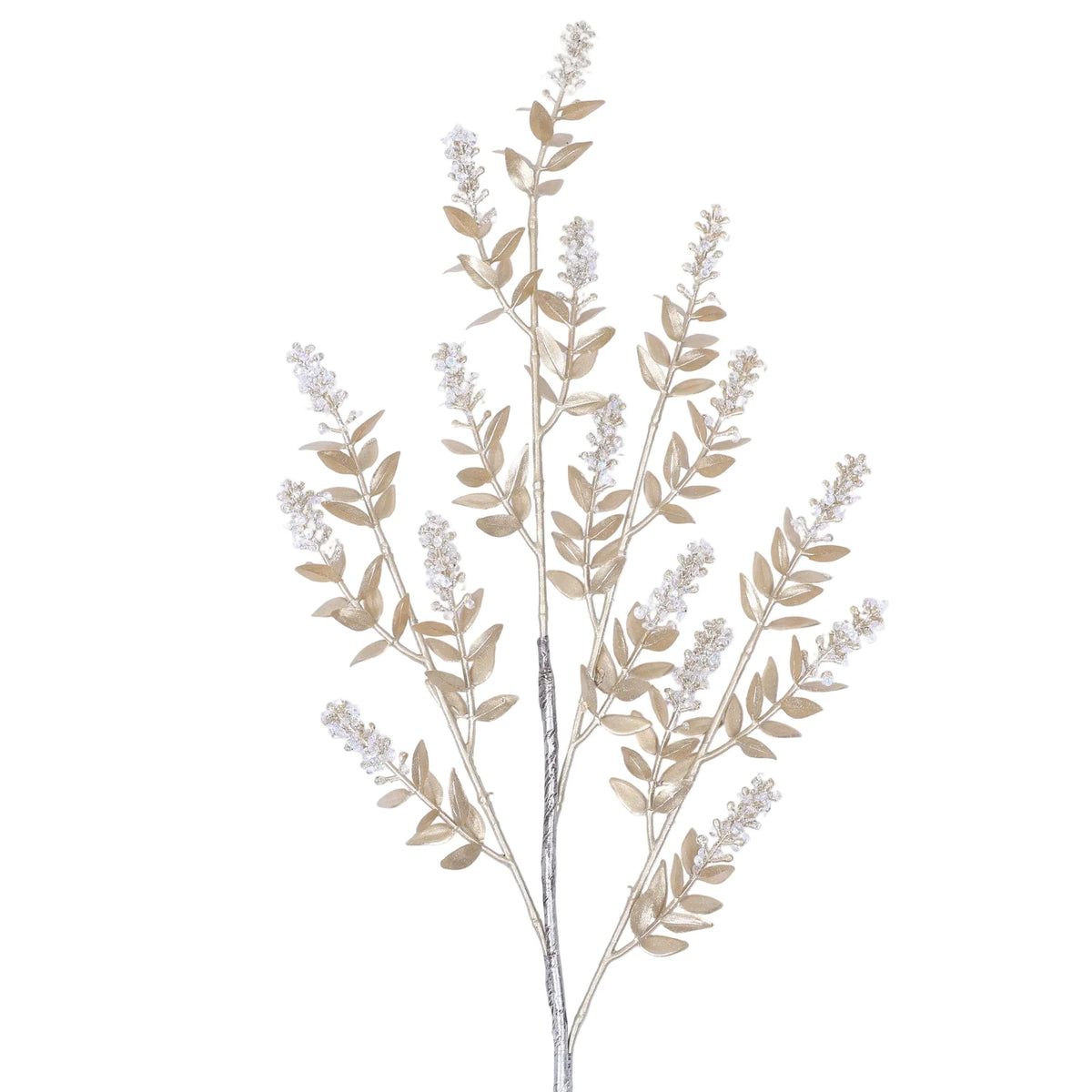 Winter Ruscus- Gold