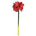 Amaryllis Spray- Red