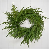 Natural Touch Granch Norfolk Pine Wreath