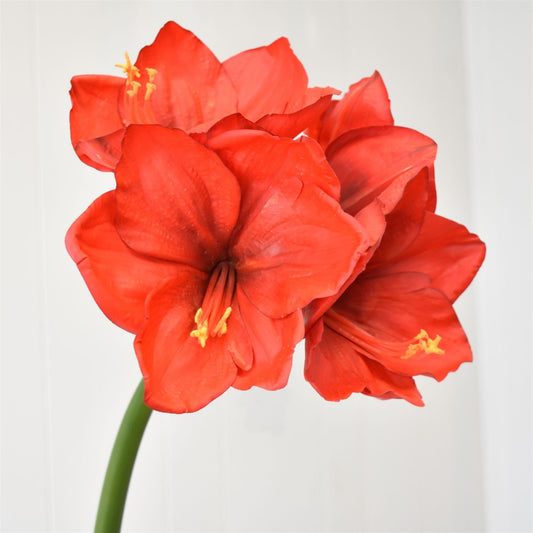 3D Fabric Coating Amaryllis Spray