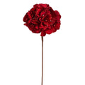 Red Velvet Hydrangea