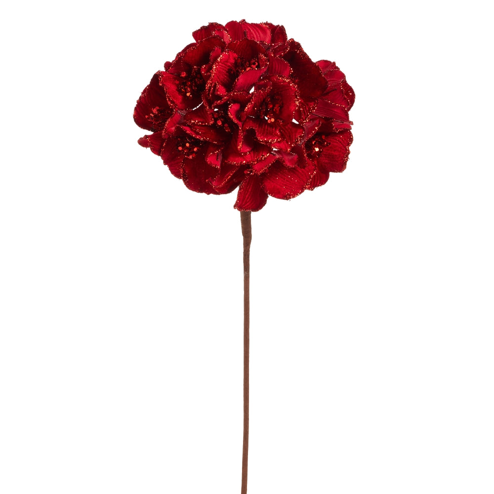 Red Velvet Hydrangea