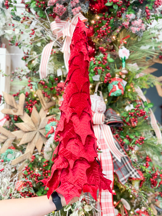 Red Holly Leaf Cone Tree