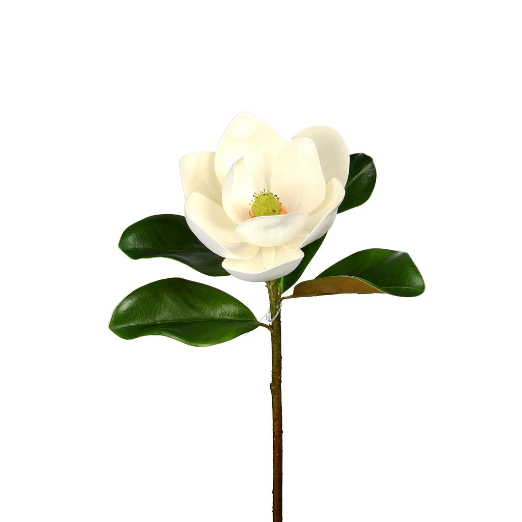 Magnolia Flower Stem