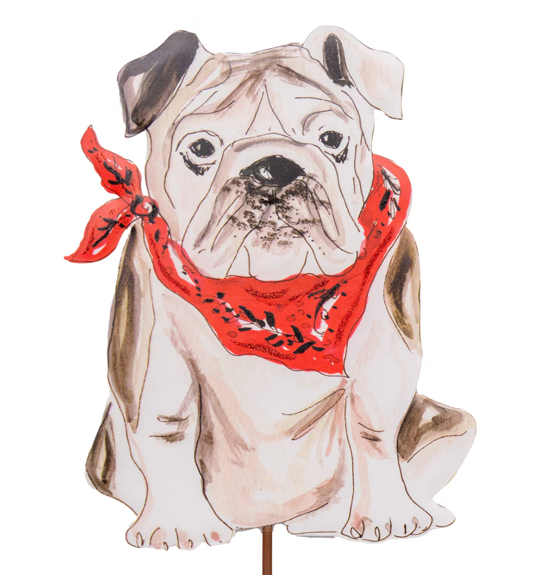 Beck's Bulldog Stake
