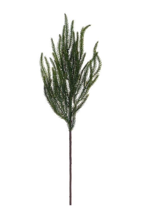 24.5" Green Norfolk Pine Spray