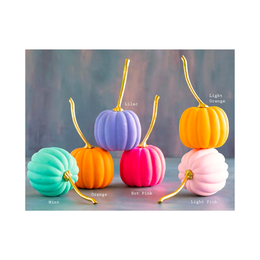 Rainbow Pumpkins- Medium