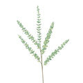 Eucalyptus- Mint