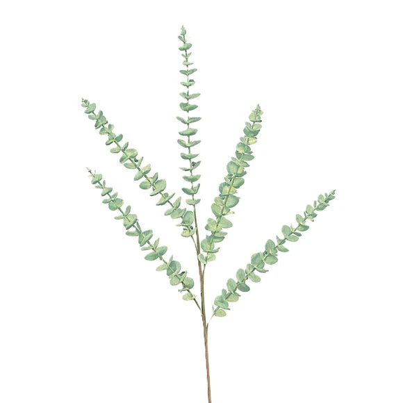 Eucalyptus- Mint