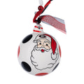 Georgia We Believe Ornament