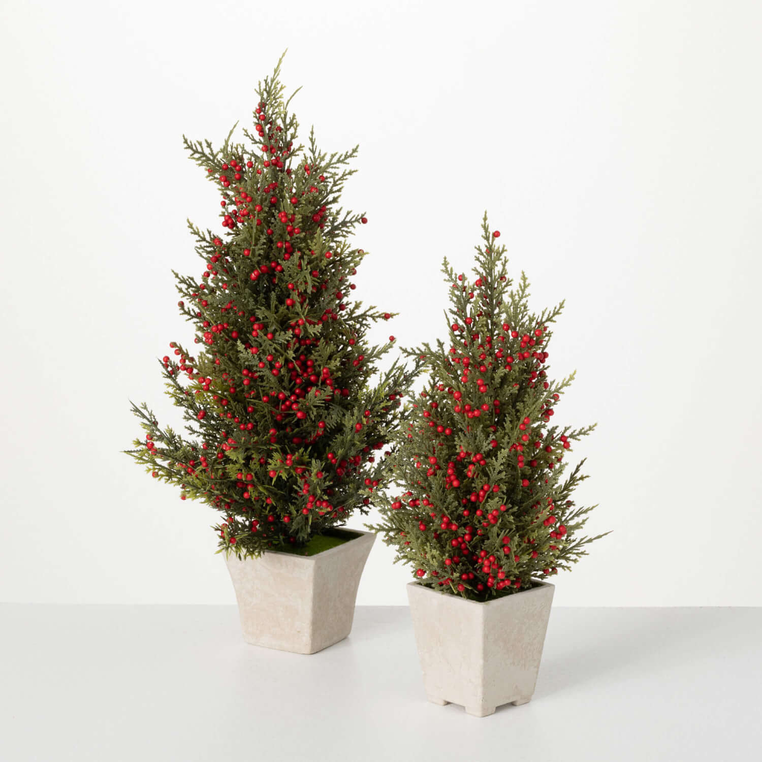 Cedar & Berry Tree