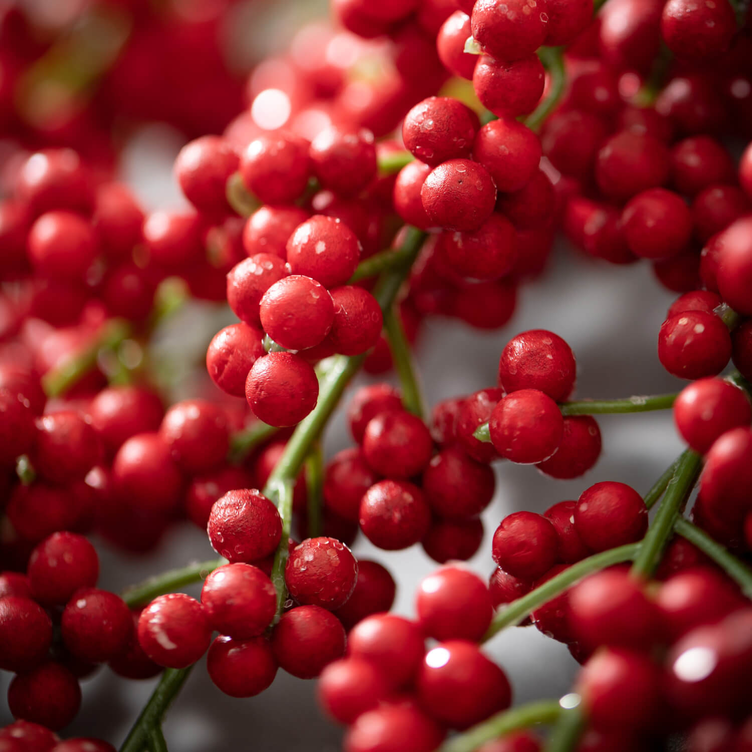 Hanging Mini Berry Spray