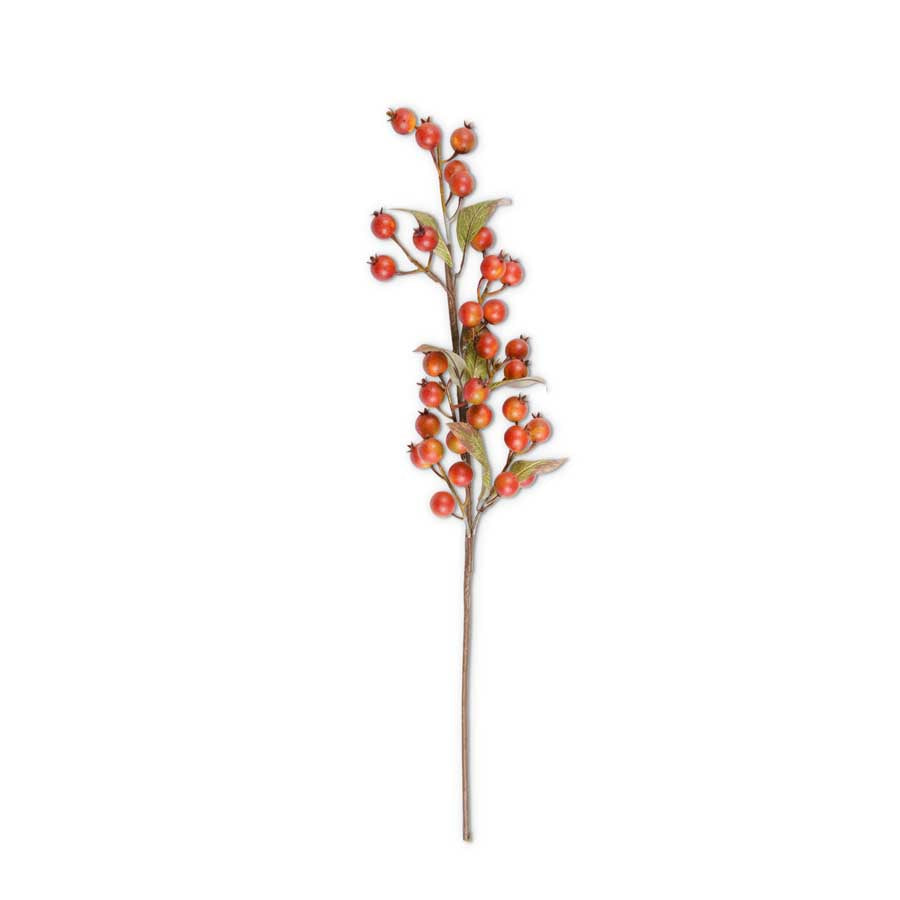 32 Inch Burnt Orange Rosehip Stem