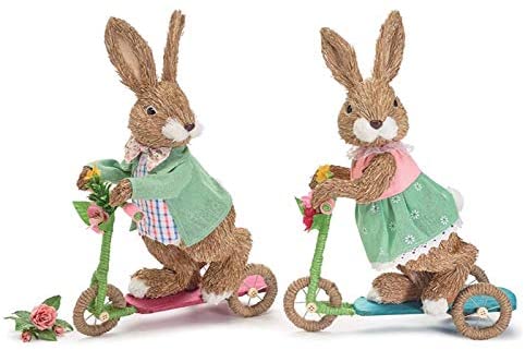 Bunny on a Scooter
