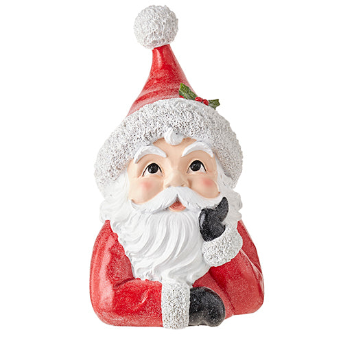 Santa Bust