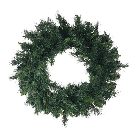 24" Catalina Spruce Wreath