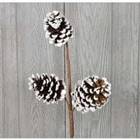 24" White Edge Pinecone Spray