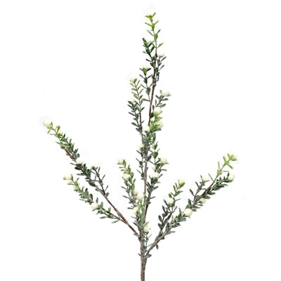 30" Snowed Boxwood Berry Spray- Cream