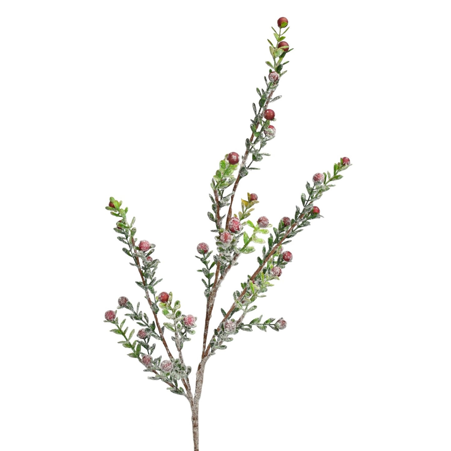 Snowed Boxwood Berry Spray,Red