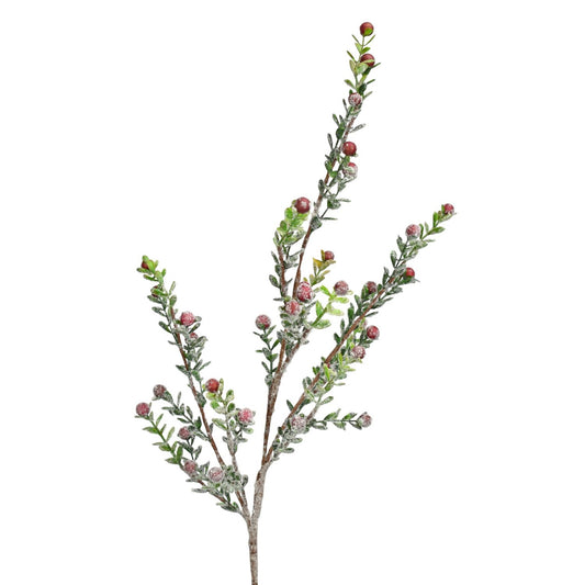 Snowed Boxwood Berry Spray,Red