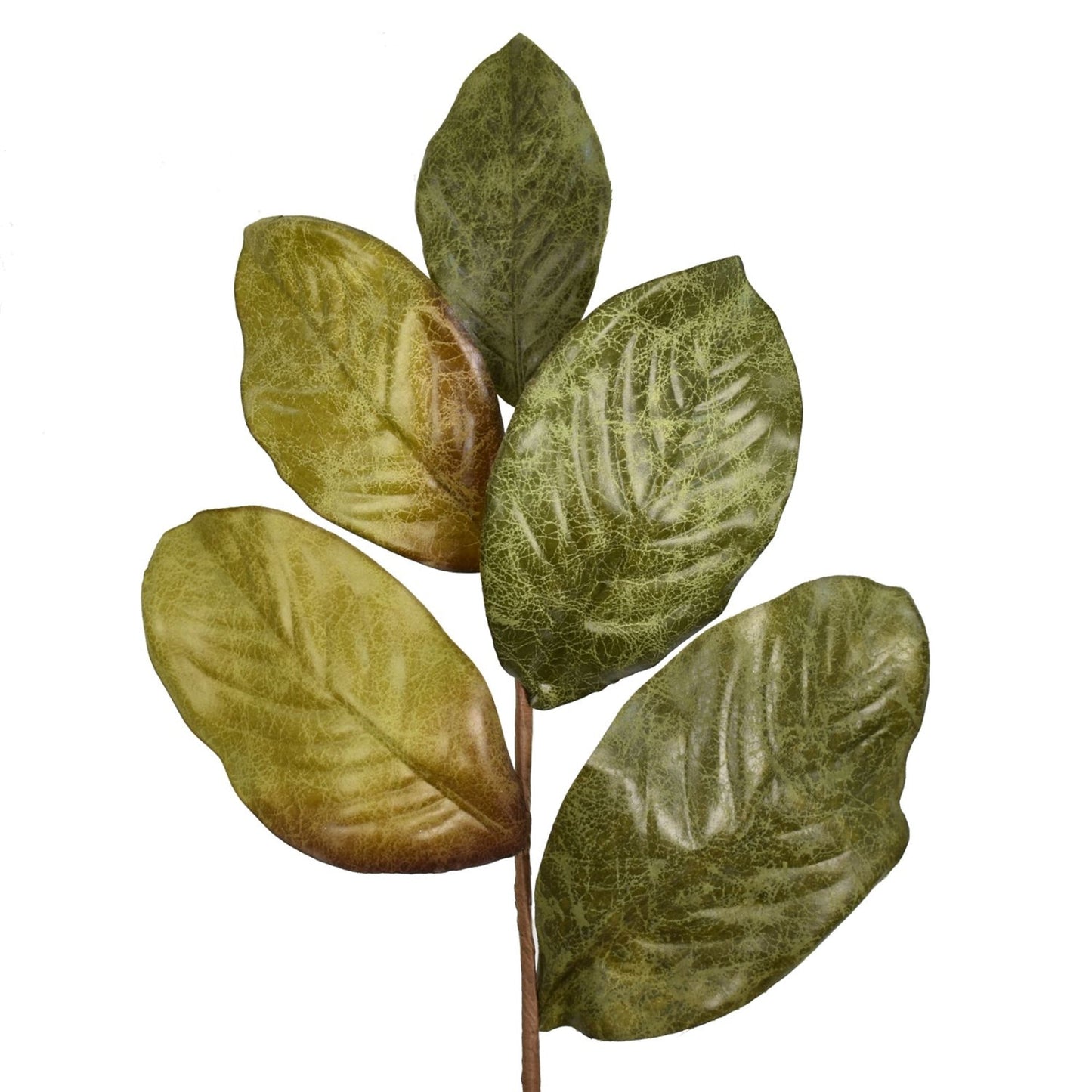 23" Weathered Magnolia Leaf Spray