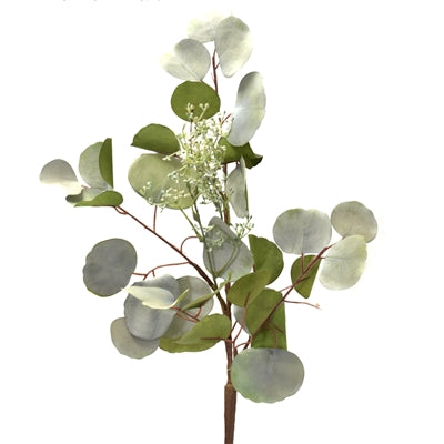 Washed Dollar Eucalyptus Spray with Seed-Green