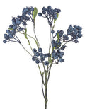 Blueberry Bush