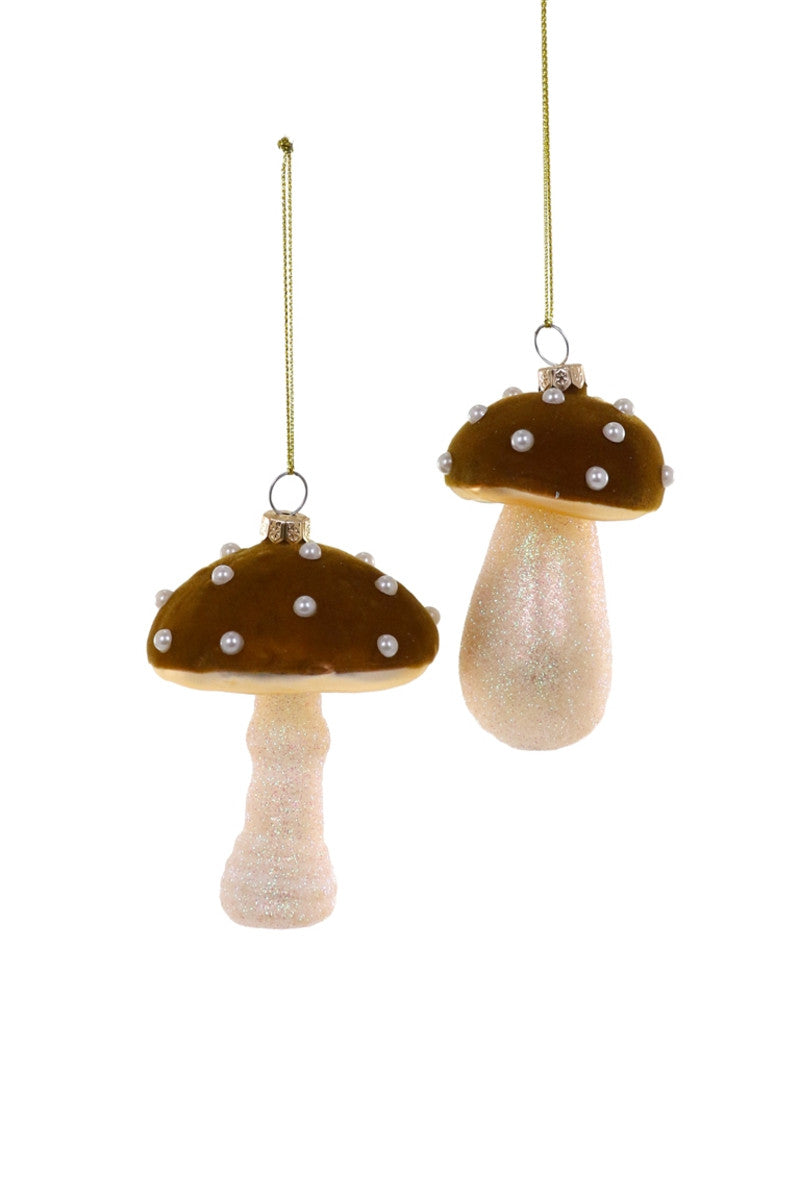 High Grove Mushroom- Brown