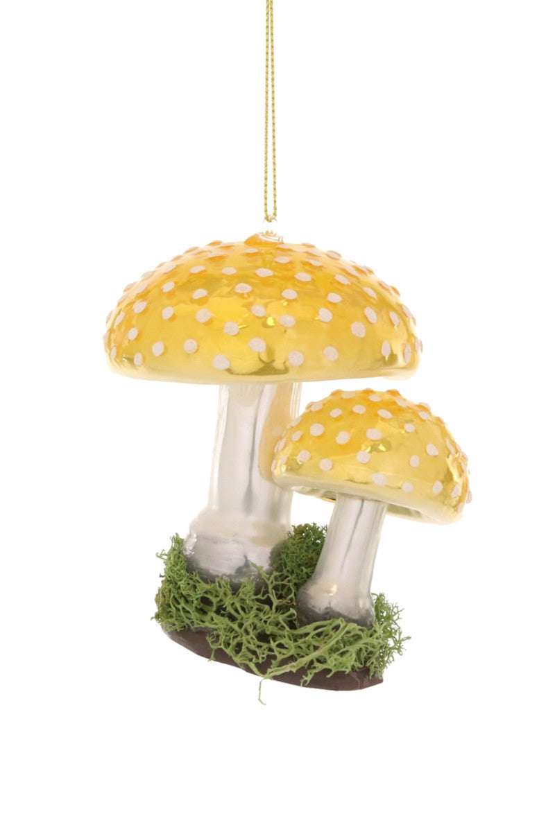 Yellow Amanita- Small