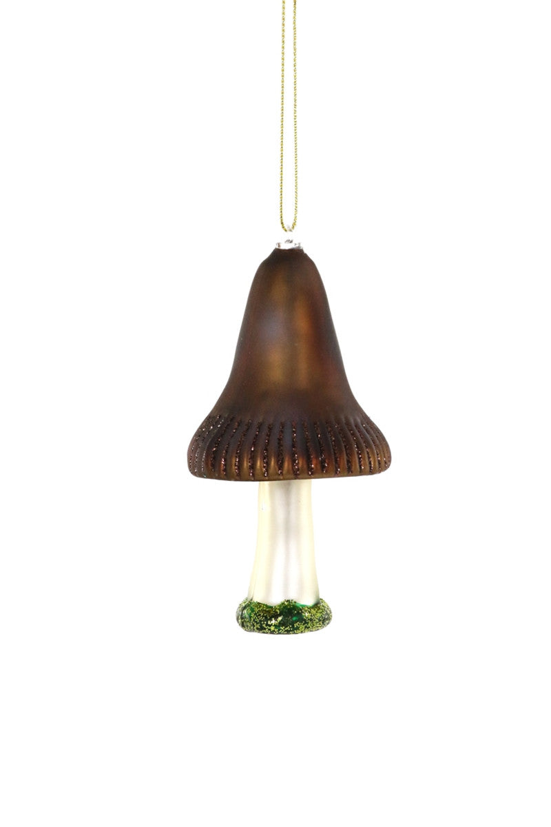 Forest Mushroom