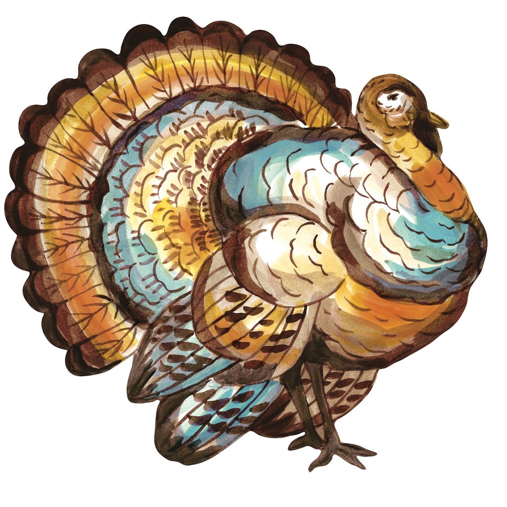 Die-Cut Thanksgiving Turkey Placemat
