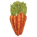 Carrots Table Accent