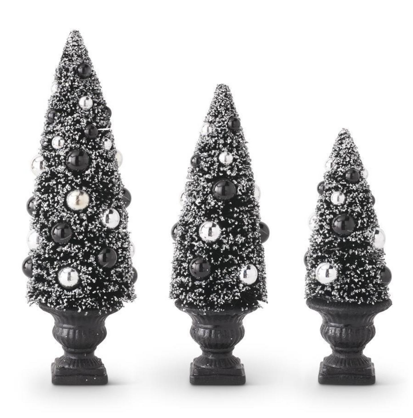 Black & Silver Bottlebrush Trees