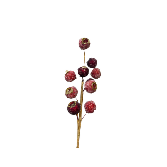 Iced Seed Pods Spray