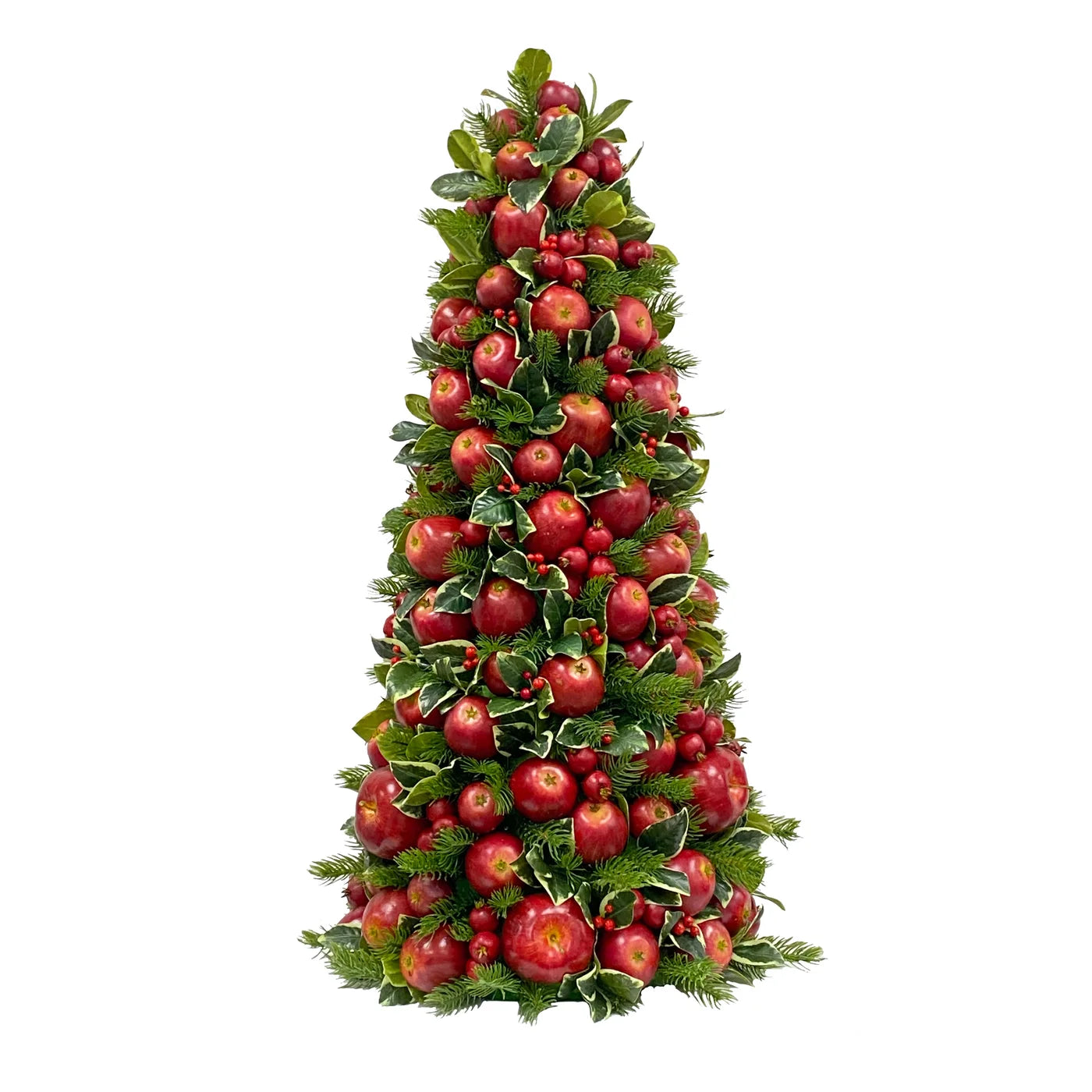 Cone Apple Berry Tree