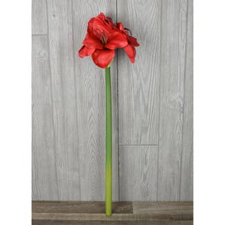 24" Amaryllis Spray